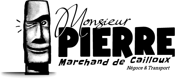 MrPIERRE-logo_fdVERT_RVB_sans_fond